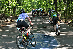 Ein Radfahrer beim VeloCity Berlin biegt in die Havelchaussee und nimmt die Verfolgung auf die vor ihm liegenden Radfahrer:innen auf. © SCC EVENTS / Petko Beier